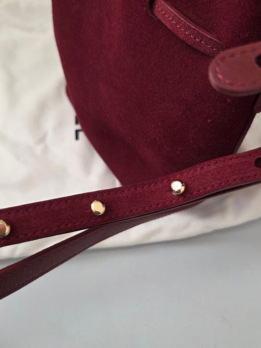 Mansur Gavriel Mini Mini Bucket Bag In Color Rococo - Picture 10 of 10